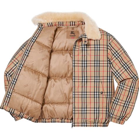 Supreme x Burberry Shearling Collar Down Puffer Jacket In 